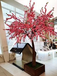 Pink flower vase on table at home