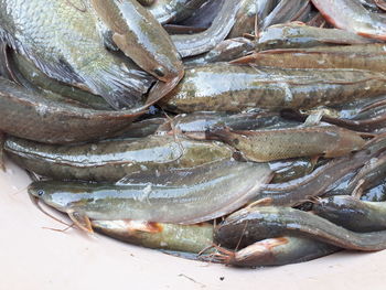 High angle view of fish for sale in market