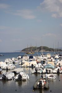 Sailboats moored on harbor against sky