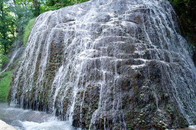 Scenic view of waterfall in forest