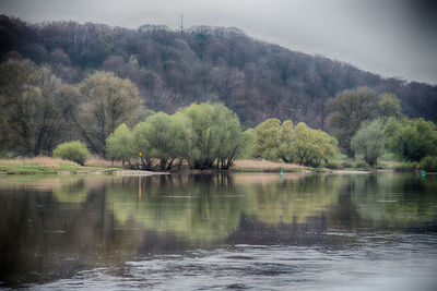 Scenic view of lake by trees against sky