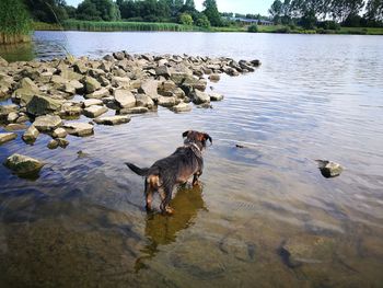 Mister schröder cooling in water 