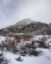 Scenic view of snow covered mountains against sky