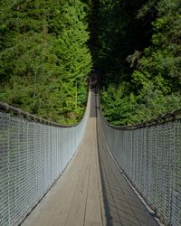 Empty footbridge amidst trees in forest