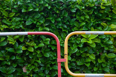 Fence against plants