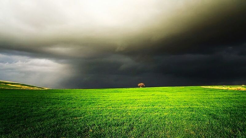 grass, field, sky, landscape, cloudy, cloud - sky, grassy, animal themes, green color, weather, overcast, nature, one animal, tranquil scene, beauty in nature, tranquility, scenics, storm cloud, rural scene, cloud