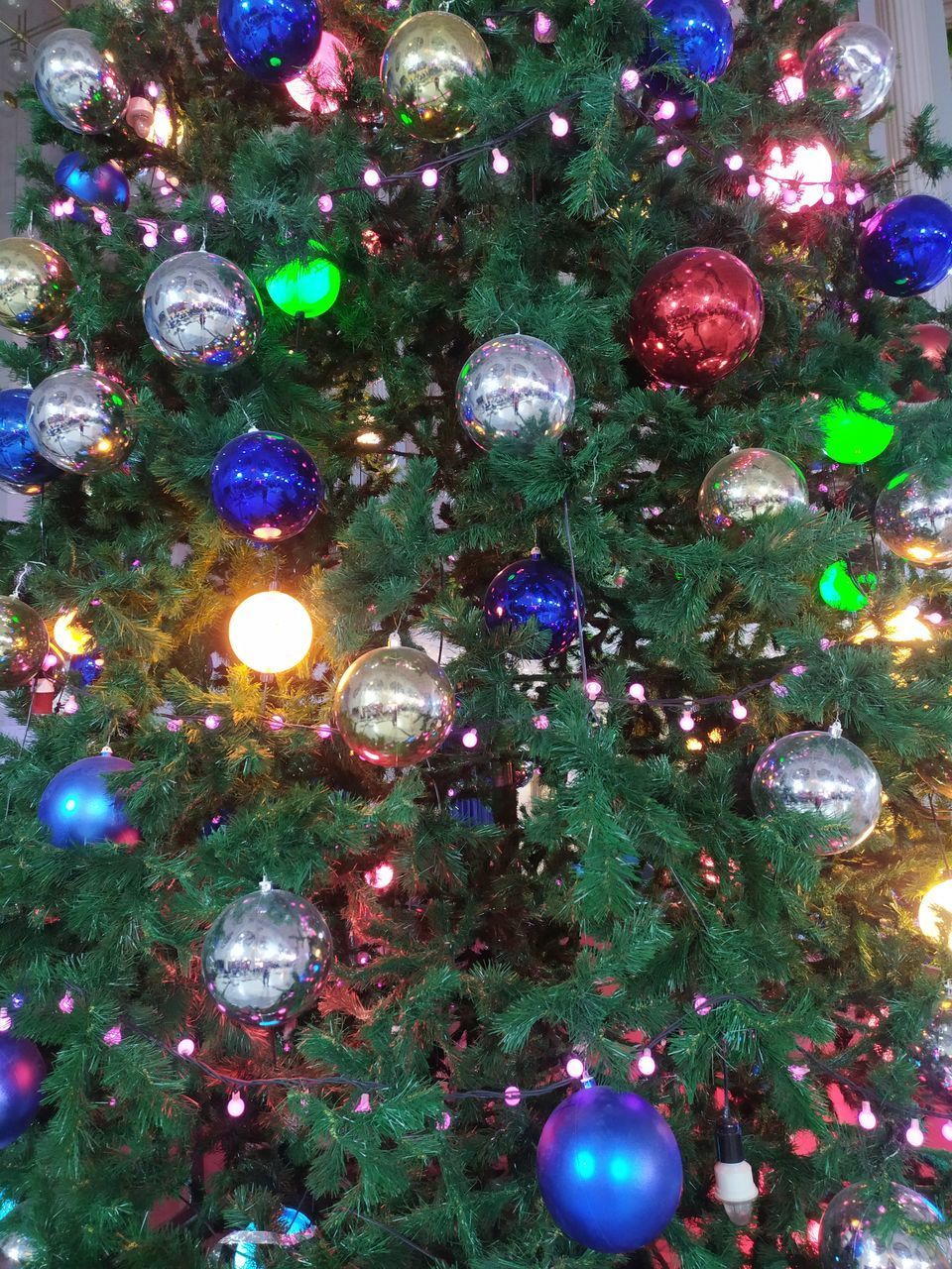 ILLUMINATED CHRISTMAS TREE