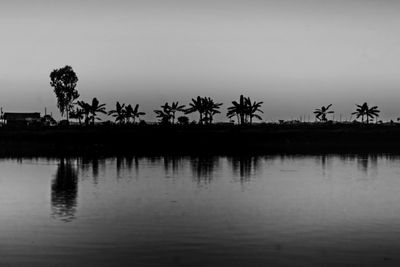 Silhouette palm trees by lake against sky