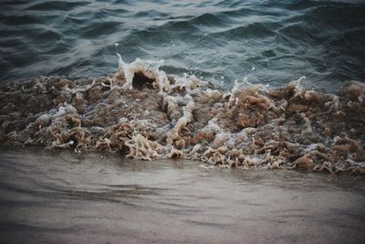 Scenic view of sea shore