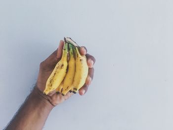 Midsection of person holding fruit against white background