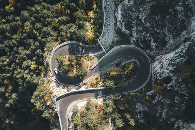 Aerial view of road amidst trees