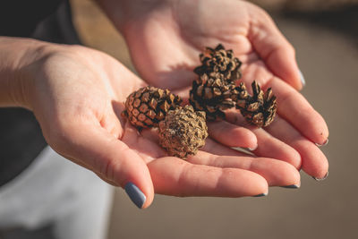 Close-up of hand holding berries