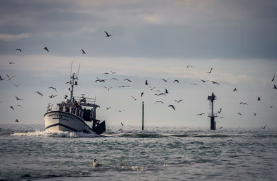 Seagulls flying over fishing boat and sea against sky