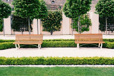 Empty bench in park