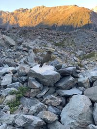 Rocks on land