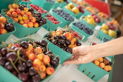 High angle view of hand holding fruits at market