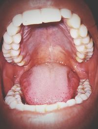 human mouth