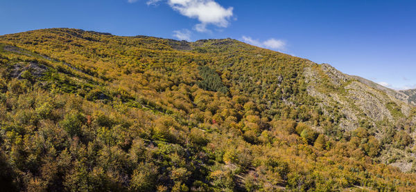 Low angle view of mountain against sky