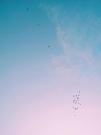 Low angle view of silhouette birds flying against sky