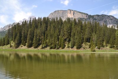 Scenic view of lake by trees against sky