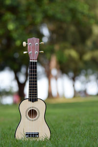 Close-up of guitar playing on grass