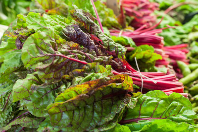 Close-up of vegetables