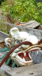 Close-up of giraffe against plants