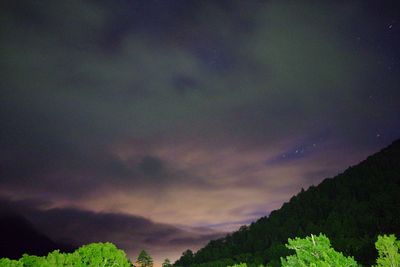 Low angle view of silhouette trees against sky at night