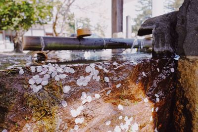 Close-up of water flowing through rocks