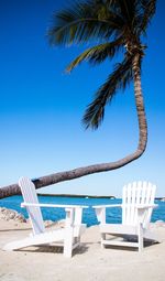 Deck chairs and palm tree on beach against clear blue sky