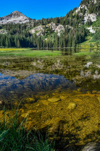 Scenic view of lake