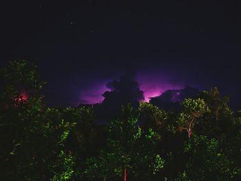 Low angle view of illuminated trees against sky at night