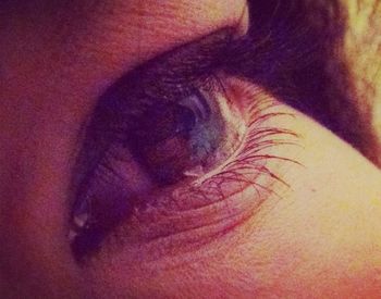 close-up