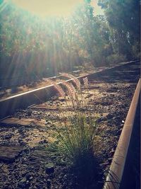 Road passing through landscape
