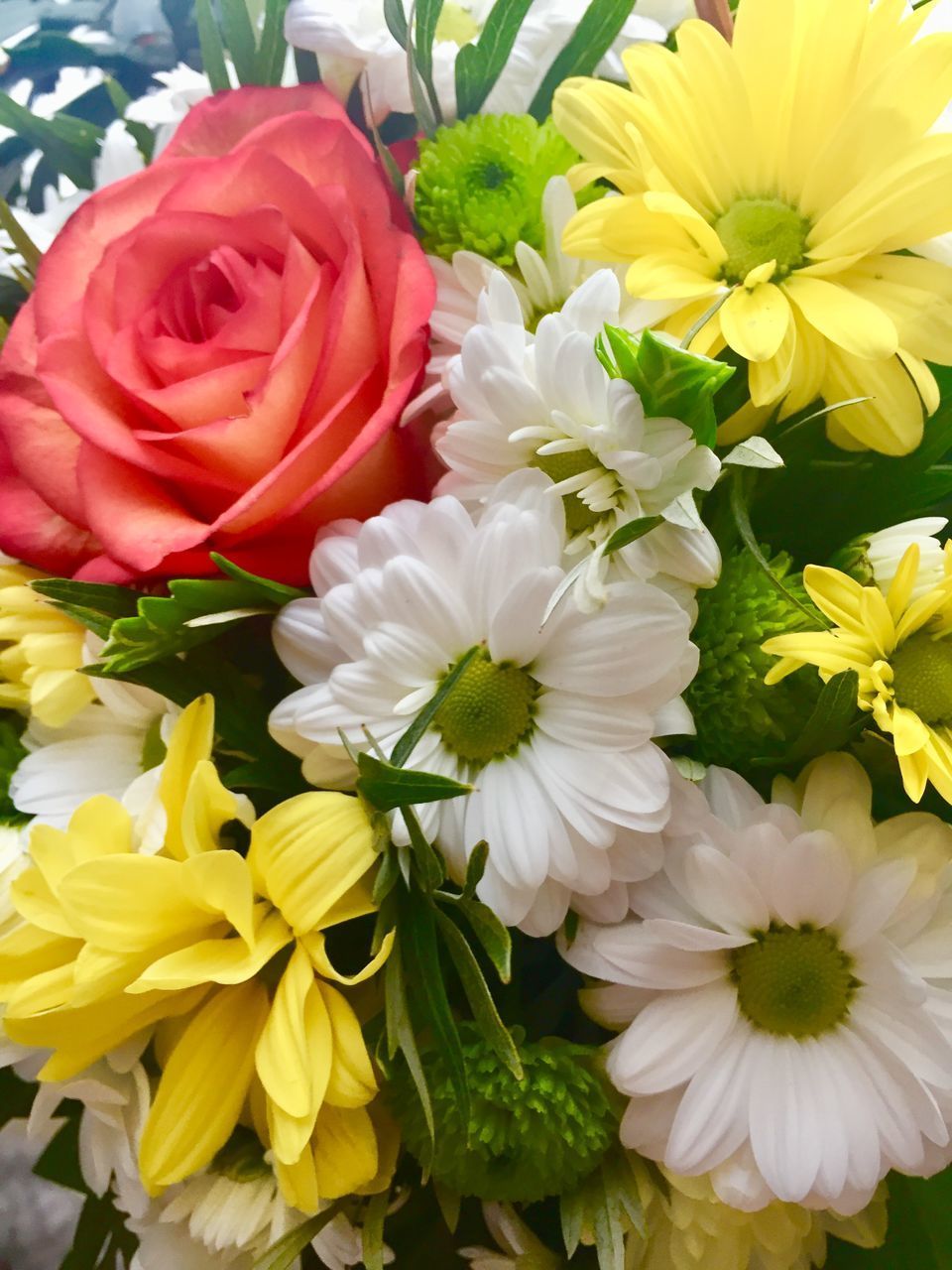 CLOSE-UP OF VARIOUS FLOWERS