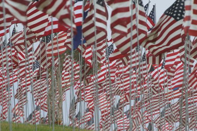 Low angle view of american flags