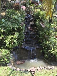 Stream flowing through rocks