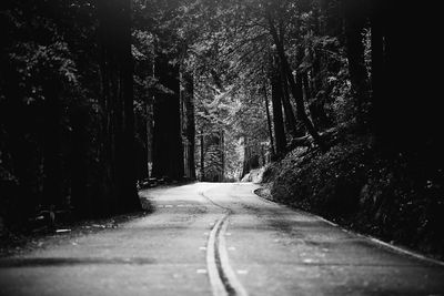 Empty road passing through forest