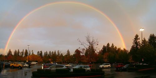 Panoramic view of rainbow over trees against sky