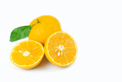 Close-up of oranges against white background