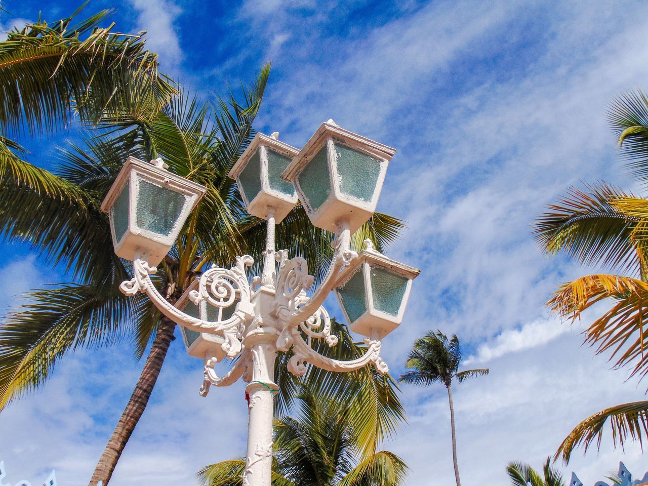 LOW ANGLE VIEW OF PALM TREES AGAINST BLUE SKY