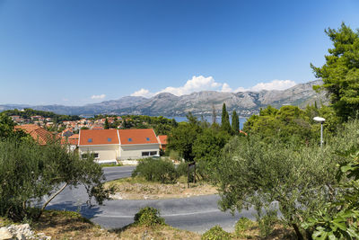 Houses and trees against clear blue sky