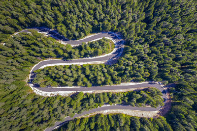 High angle view of road amidst trees