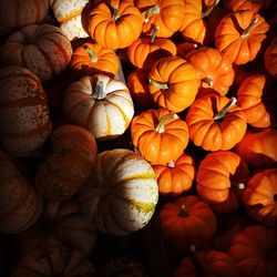 Full frame shot of pumpkins