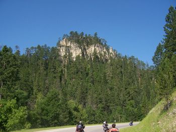 Group of bikers enjoying road trip on sunny day