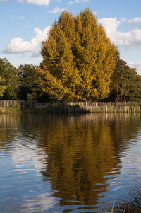 Scenic view of lake by trees against sky