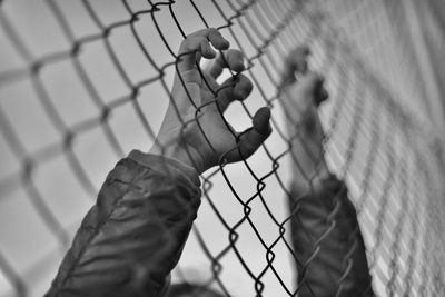 Cropped hands holding chainlink fence