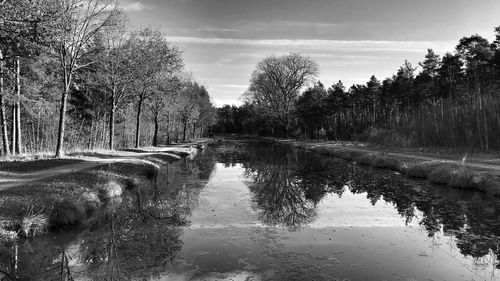 Scenic view of lake in forest against sky