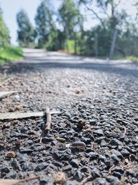 Surface level of road in city