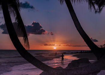 Setting sun over maxwell beach, barbados